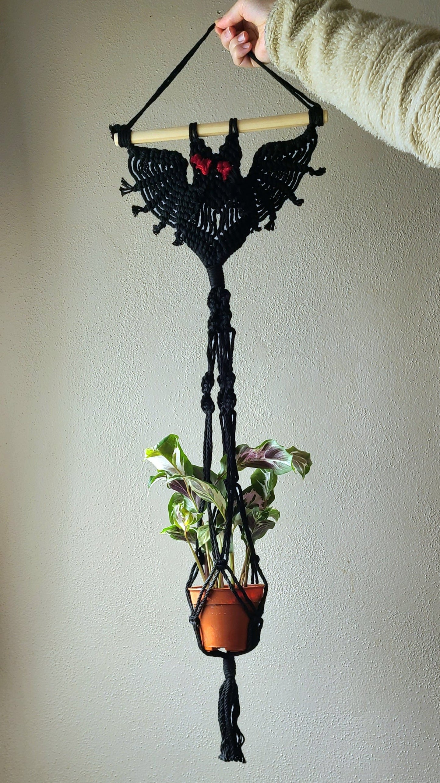 CLEARANCE - Macrame Bat Plant Hanger